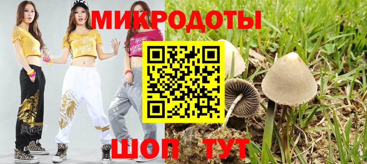 где купить наркоту  Вход с VPN  Санкт-Петербург  Псилоцибиновые грибы Psilocybine cubensis 